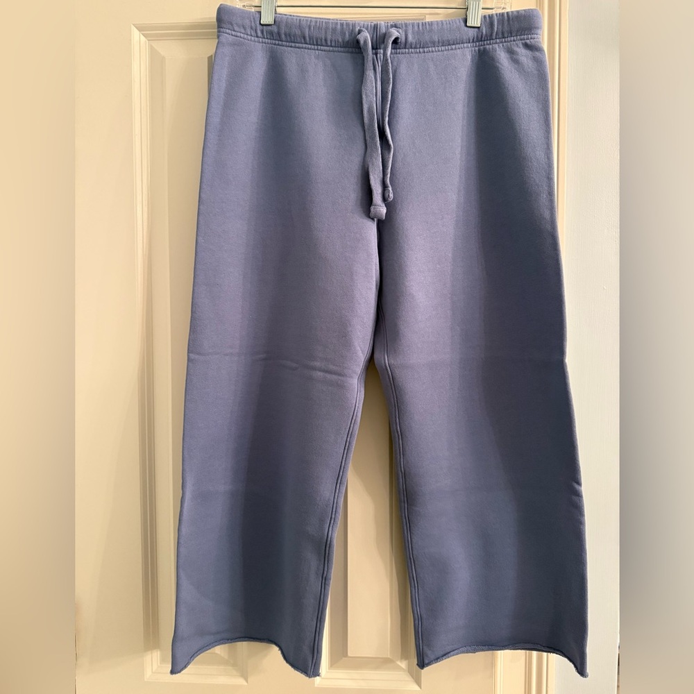 Frank & Eileen Catherine pants. Size Large. NWOT. Never worn. Denim color